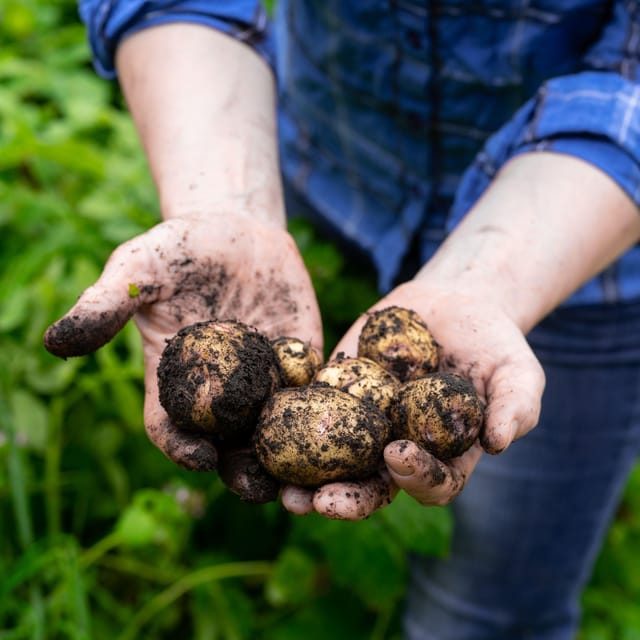 Lofoten (Stamsund and Leknes): Aimees Farm Experience - Who This Suits Best, And Who Might Want A Different Plan