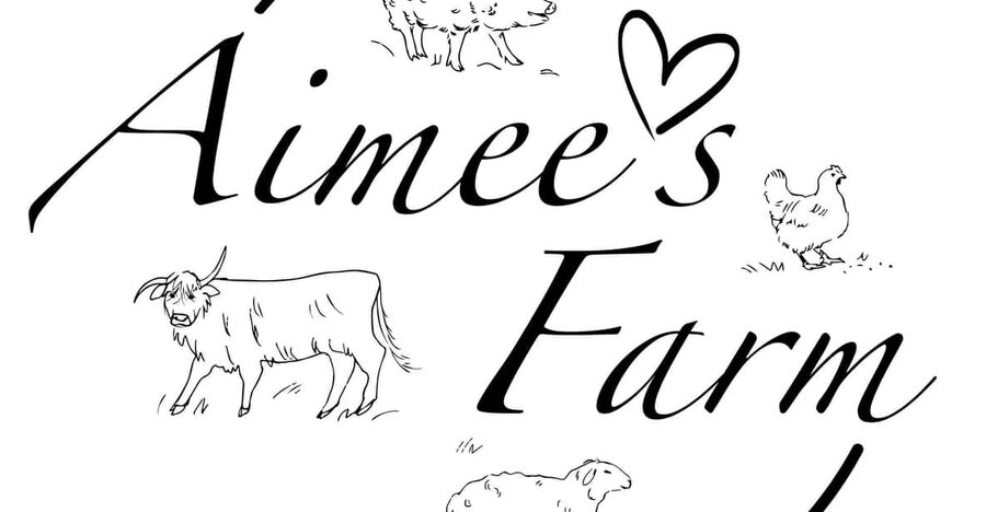 Lofoten (Stamsund and Leknes): Aimees Farm Experience - From Traditional Village Walk To Farm Time: Animals And Local Life