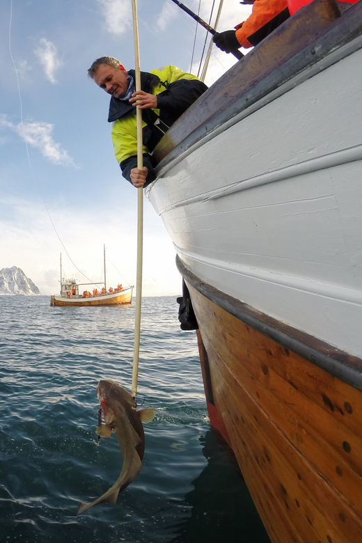 Lofoten: Traditional Fishing Trip - Fishing, Not Just Watching, on MS Symra