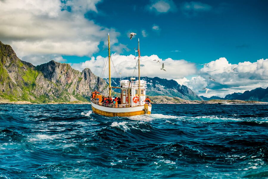 Lofoten: Traditional Fishing Trip - The 4-Hour Flow: From Onboard Setup to Fillet and Take-Home