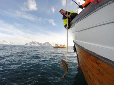 Lofoten: Traditional Fishing Trip
