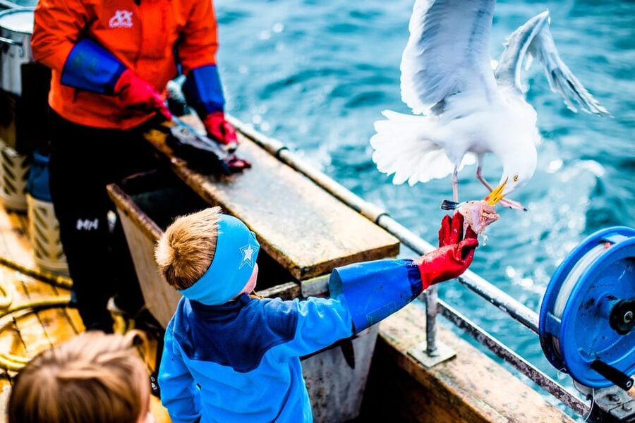 Lofoten: Traditional Fishing Trip - What’s Included, What’s Not, and Where You’ll Spend Extra