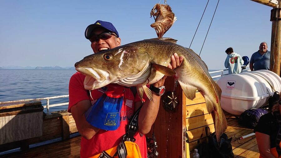 Lofoten: Traditional Fishing Trip - Weather, Cancellations, and the Reality of the Sea