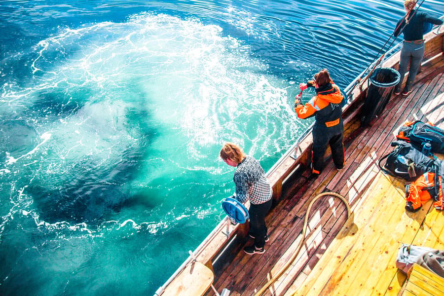 Lofoten: Traditional Fishing Trip - Who This Tour Is For, and Who Might Want Another Option