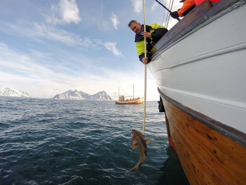 Lofoten: Traditional Fishing Trip - What You Might Catch in Lofoten, and Why It Changes
