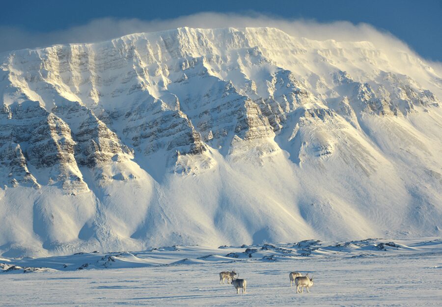 Longyearbyen: Snowmobile Tour to Tempelfjorden with Lunch - Snowmobile Day Trip From Longyearbyen: Why Tempelfjorden Is the Goal