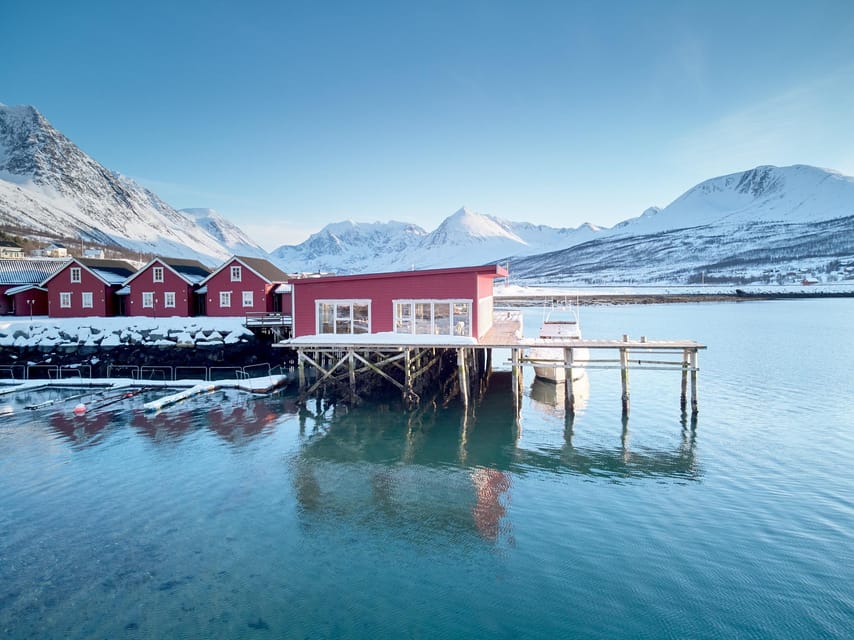 Lyngen: Snowmobile Safari with Lunch in seaside Restaurant - What to Bring So the Cold Does Not Steal Your Fun