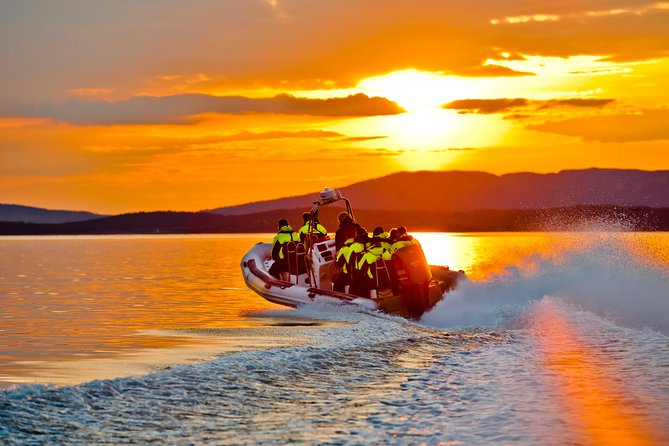 Lysefjord RIB Safari from Stavanger - Hengjanefossen and Whiskeyfalls: the refreshing shower moment
