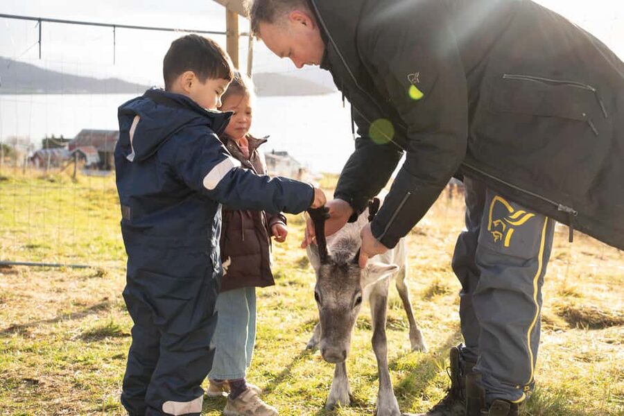 Malangen Sami Camp and Reindeer Experience with Lunch - Price and value: is $173 a fair deal?