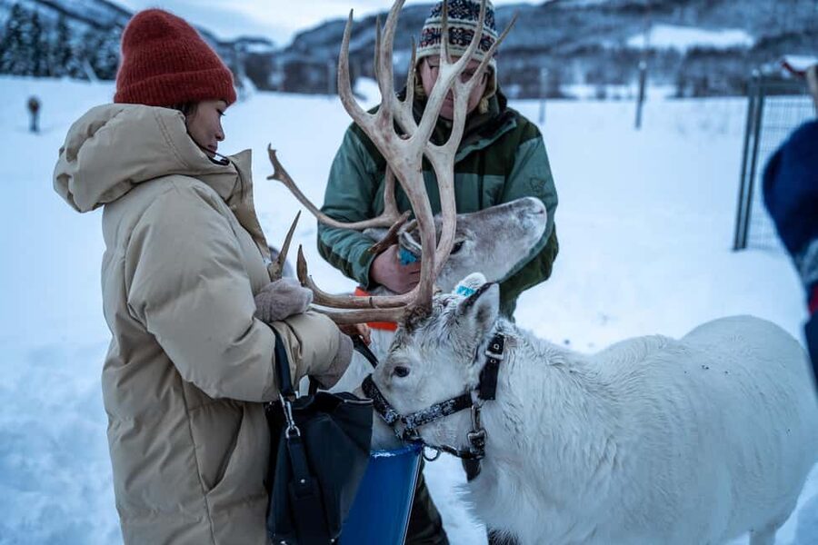 Malangen Sami Camp and Reindeer Experience with Lunch - What to pack so you do not lose the experience to cold