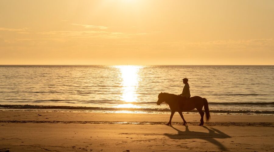 Midnight sun tour - Price and value: is $156 for 90 minutes fair?
