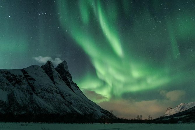 Minibus Northern Lights Chase with Photography from Tromsø - Tromsø to the dark sky: what this tour feels like