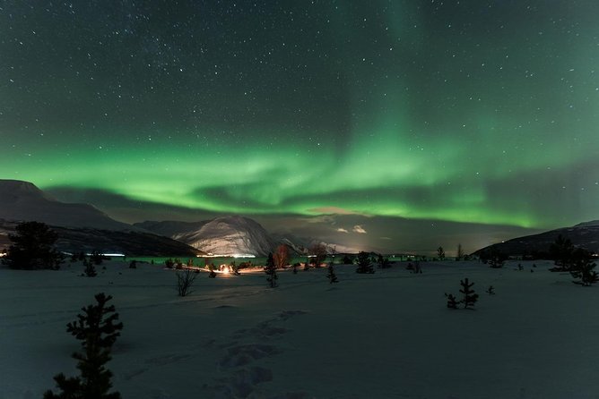 Minibus Northern Lights Chase with Photography from Tromsø - Campfire food and the social side of waiting