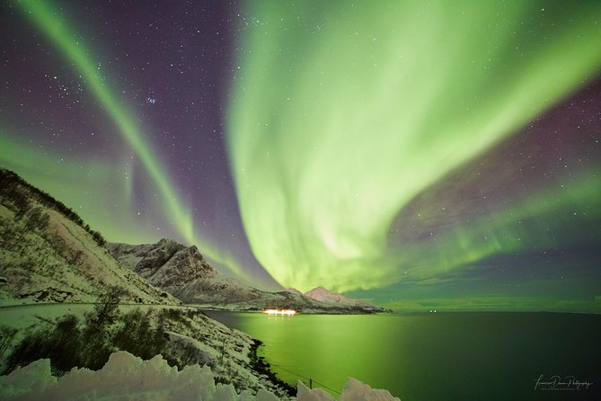 Minivan Northern Lights excursion (8 guests per minivan) - Tromsø at 7:00 pm: why this minivan chase feels different