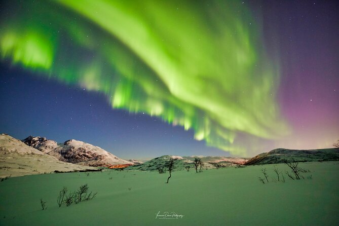 Minivan Northern Lights excursion (8 guests per minivan) - Small group comfort: what 8 guests per minivan changes