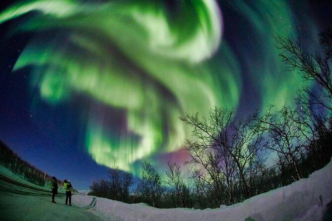 Minivan Northern Lights excursion (8 guests per minivan) - Warm overalls and boots, plus tea, coffee, and muffins