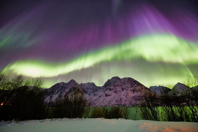 Minivan Northern Lights excursion (8 guests per minivan) - Aurora photography coaching: you don’t need to own a camera