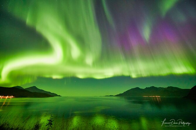 Minivan Northern Lights excursion (8 guests per minivan) - Guides, road skills, and managing the sky’s attitude