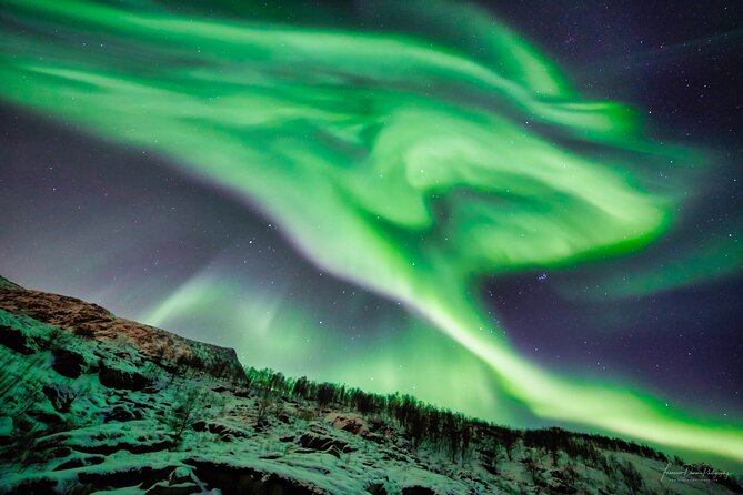 Minivan Northern Lights excursion (8 guests per minivan) - Price and value: is $204.51 worth it?