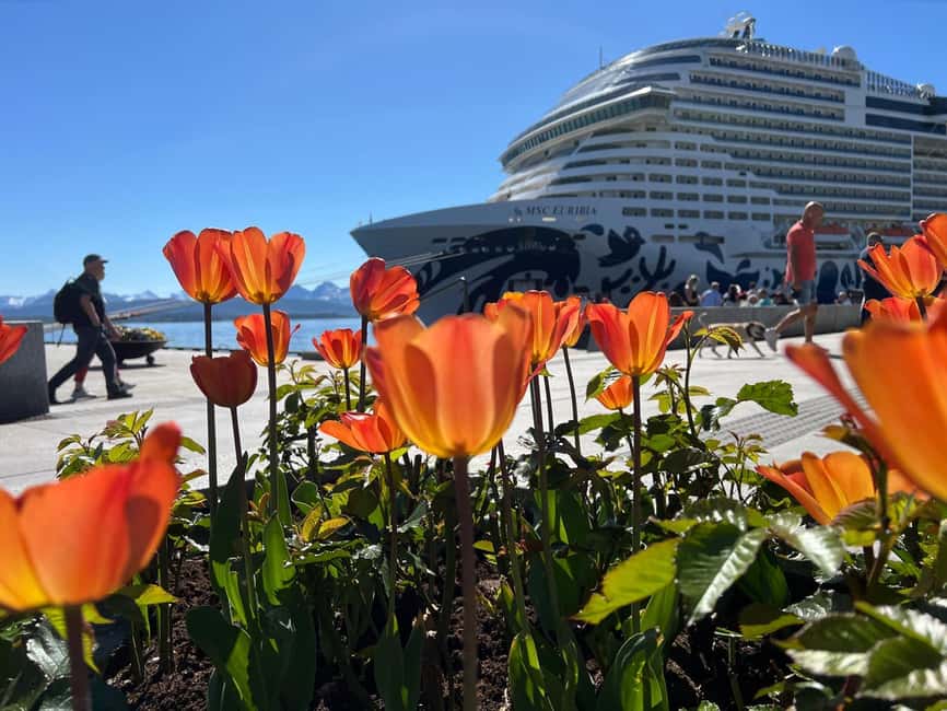 Molde: Atlantic Ocean Road, Kvernes Stave Church & More - What to bring, what to watch, and who this tour fits best