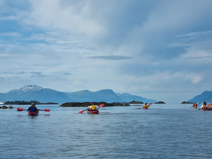 Molde - Guided kayak tour - Local guides who teach without turning it into a lecture
