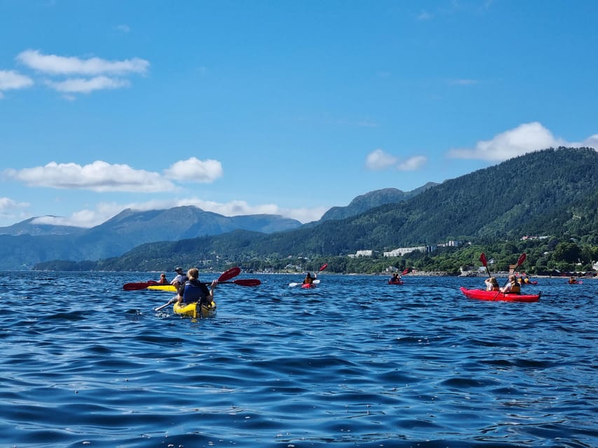 Molde - Guided kayak tour - Price and value: what $131 buys you