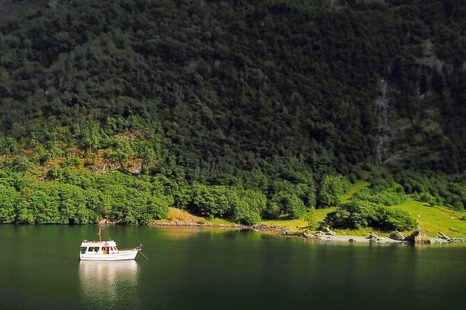 Mostraumen Private Pontoon Cruise - Key highlights you will actually care about