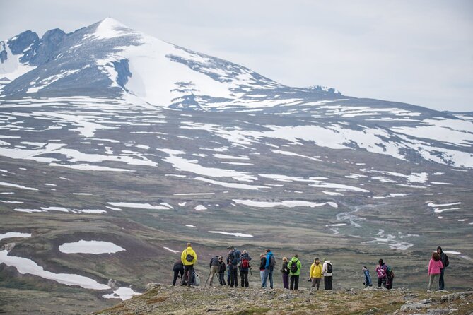 Musk ox Safari in Dovrefjell National Park, Oppdal Safari - What the hike feels like, and why “moderate fitness” is the right warning
