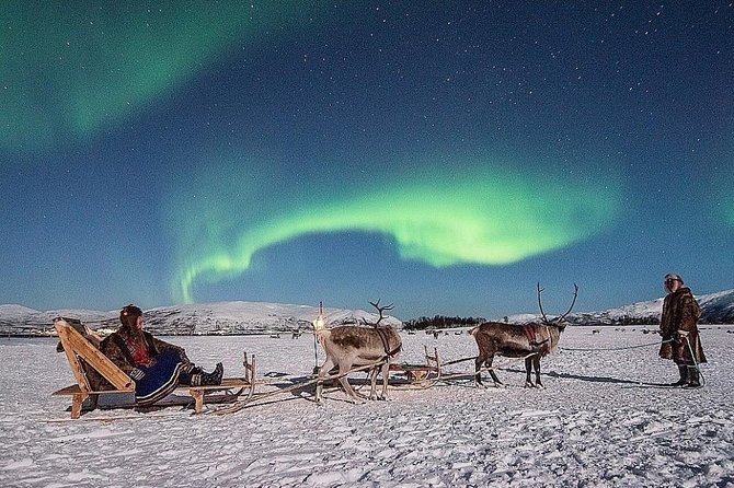 Night Reindeer Sledding with Camp Dinner and Chance of Northern Lights - Key things to know before you go
