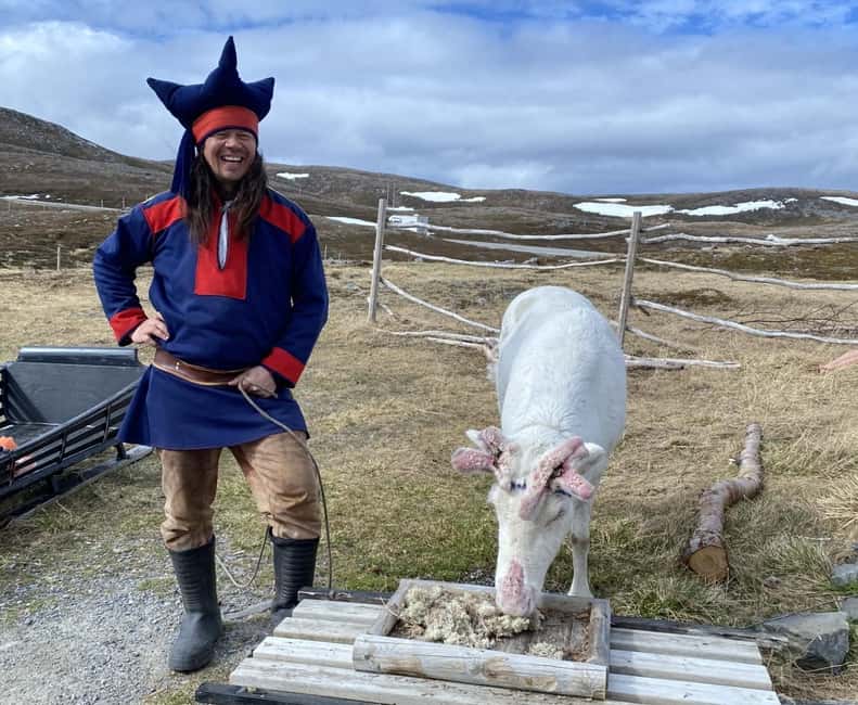 North Cape and King Crab Tour with Sámi Camp Tour - King crab up close, photo chances, and how the timing feels on the return