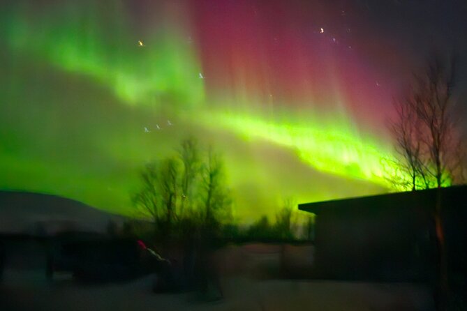 Northern Light Chase Tour - The guide’s job is more than pointing up