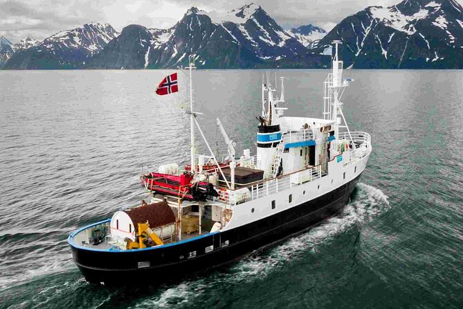 Northern Light cruise on the vintage vessel MS Strønstad - Weather Reality Check: What You Can Expect When the Sky Won’t Cooperate