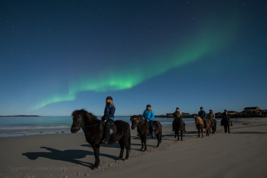 Northern light on horseback - Key points to know before you go
