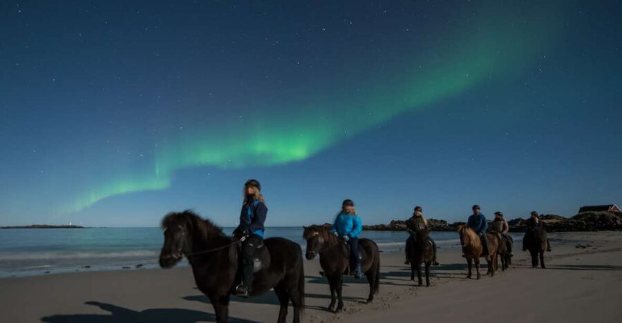 Northern light on horseback - The 90-minute ride, step by step (what you will actually do)