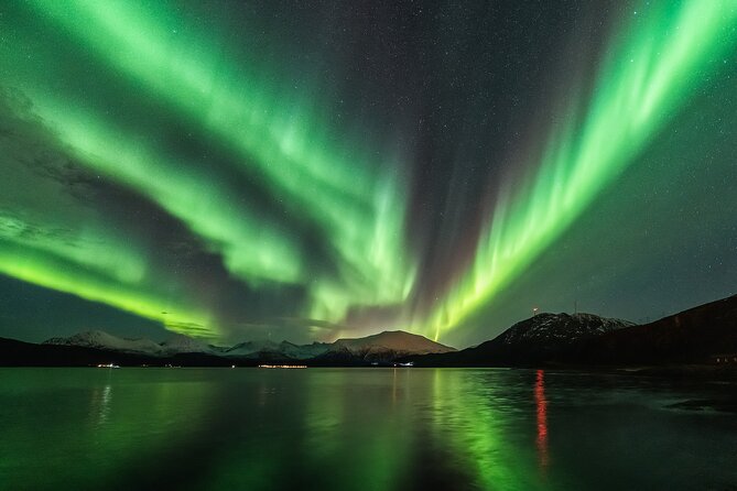 Northern Lights Adventure - Dinner by Fire: Hot Dogs, Drinks, and Warm Hands