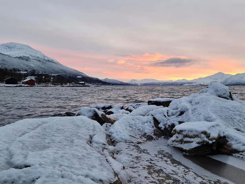 Northern Lights Adventure in Tromsø with Free Photos - The campfire break: hot drinks, hot dogs, and staying outside longer