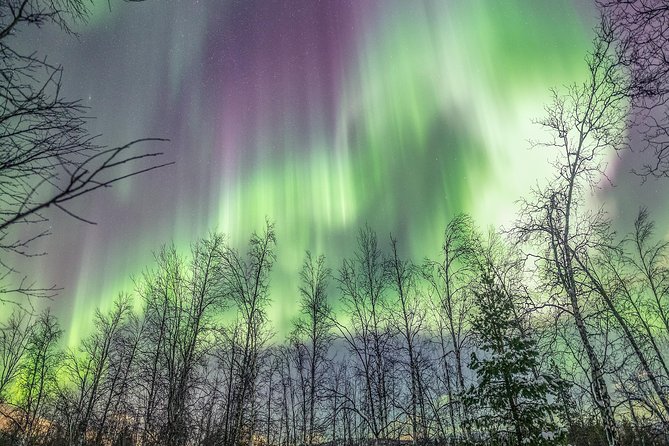 Northern Lights Adventure with Greenlander, 8 people max - How the 6 to 9 Hour Aurora Flow Usually Plays Out