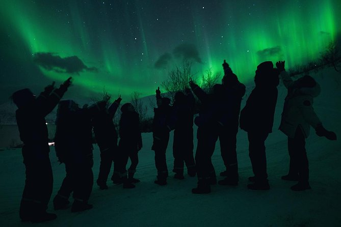 Northern Lights Big Bus Chase with Chasing Lights - Meeting at Tromsø Havn Prostneset, Then Into the Dark
