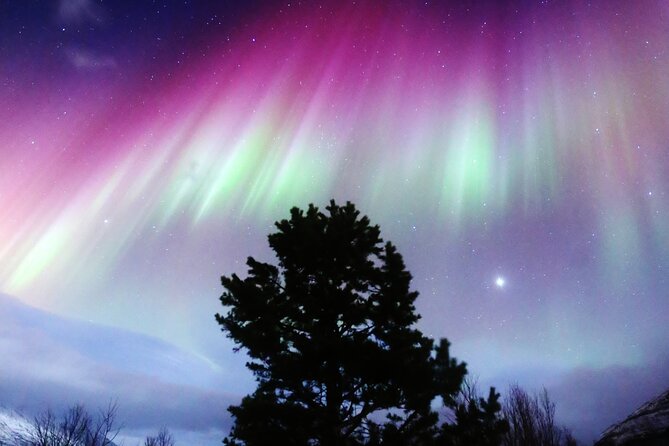 Northern Lights Big Bus Chase with Free Photos - Northern Lights Big Bus Chase: Key Things You Should Know