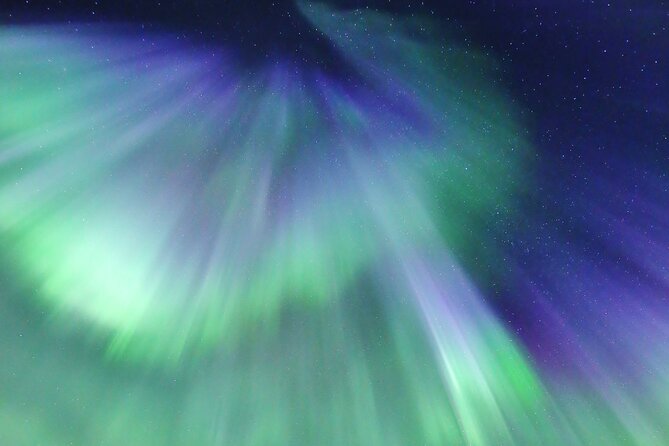 Northern Lights Big Bus Chase with Free Photos - Food Planning: Snacks Are Included, Dinner Is Not