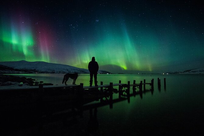 Northern Lights Big Bus Chase with Free Photos - Clothing and Tripod Reality Check