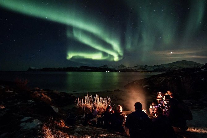Northern Lights Big Bus Chase with Free Photos - How They Decide Where to Go, and When Finland Enters the Plan