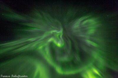Northern Lights Chase with Authentic North Norwegian Charm