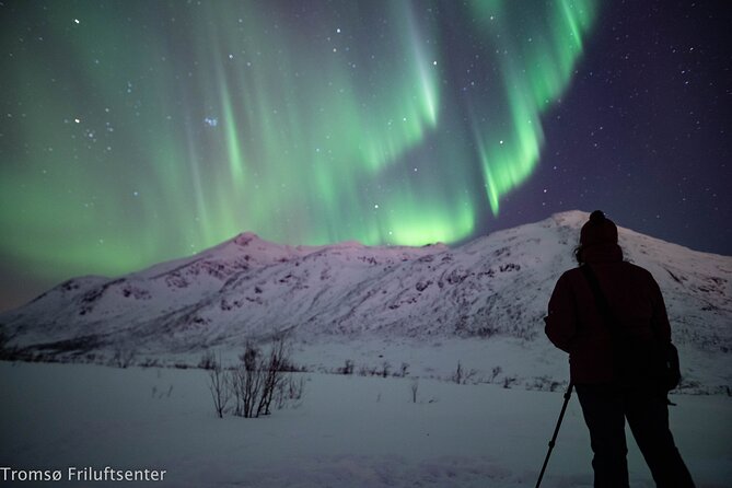 Northern Lights Chase with Authentic North Norwegian Charm - Weather is the boss, so know what the tour will do about it
