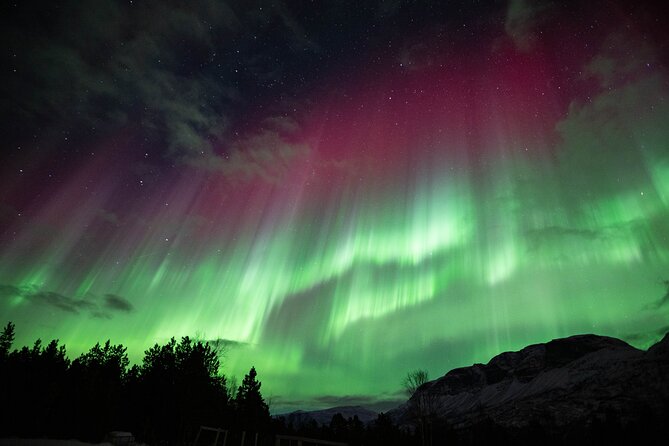 Northern Lights Chase with Authentic North Norwegian Charm - Price and value: what $210.54 buys you (and what it doesn’t)