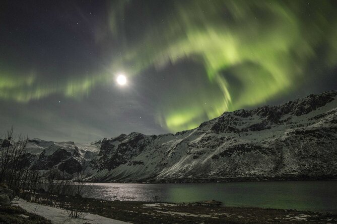 Northern Lights Chase with Photography from Tromsø - Photography help that actually fits aurora conditions