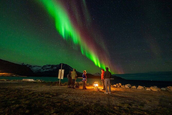 Northern Lights Chase with Sámi & local storytelling - Key things to know before you go