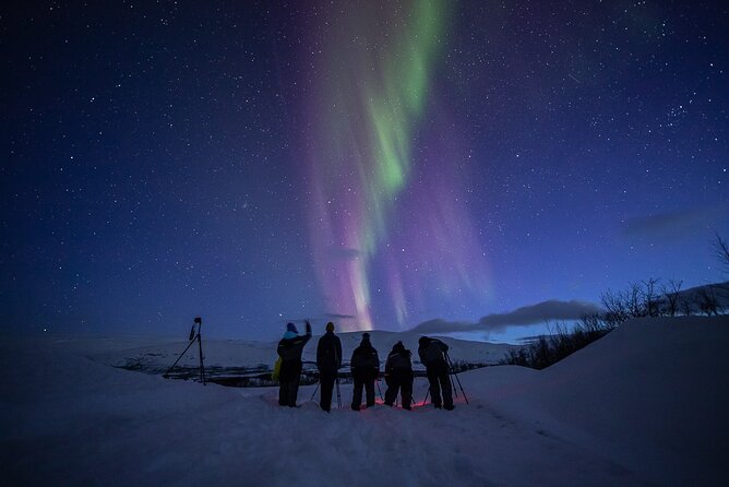 Northern Lights Expedition Tromsø - 6 people - Arctic Photo Guide - When the Aurora Is Shy: How the Chase Stays Flexible
