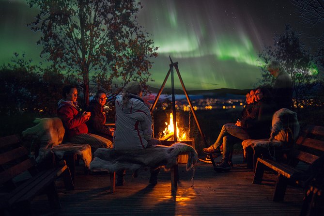 Northern Lights Husky Visit - Thermal Suits, Aurora Briefing, and What to Do With Your Camera