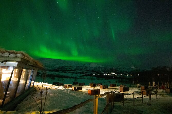 Northern Lights Husky Visit - Price, Group Size, and Who Should Book (and Who Should Skip)